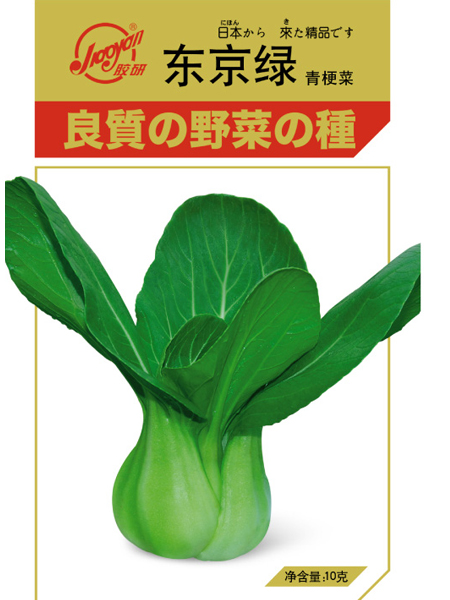 东京绿青梗菜——油菜